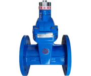 弹性座封闸阀（国标/加密闸阀）RDLX-16Q