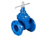 弹性座封闸阀（国标表前阀）RDLX-16Q